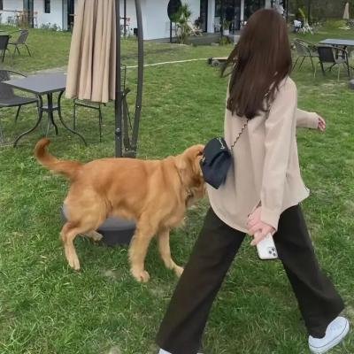 巨怪猎人第二季 封面